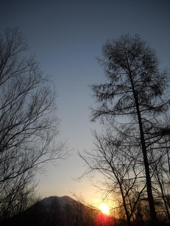 Niseko Shirokuma Cottage Eksteriør billede